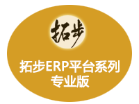 �ز�ERPƽ�_ϵ�Ќ��I�棨�M�N��+���a+Ӌ��+ؔ�գ�